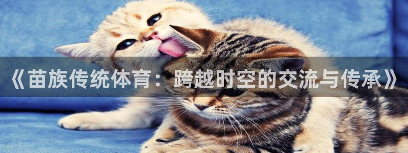 雷速为什么不显示指数