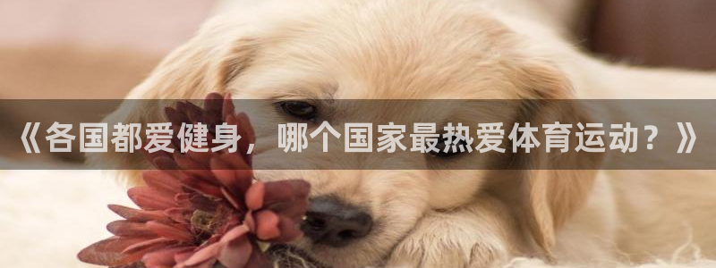 雷速小程序