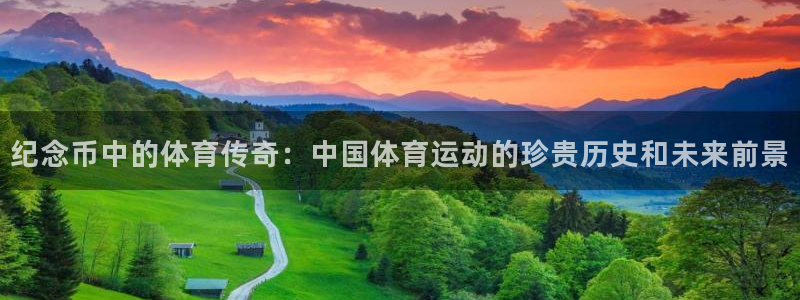 雷速篮球直播网