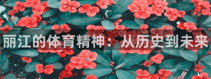 雷速体育官方网站