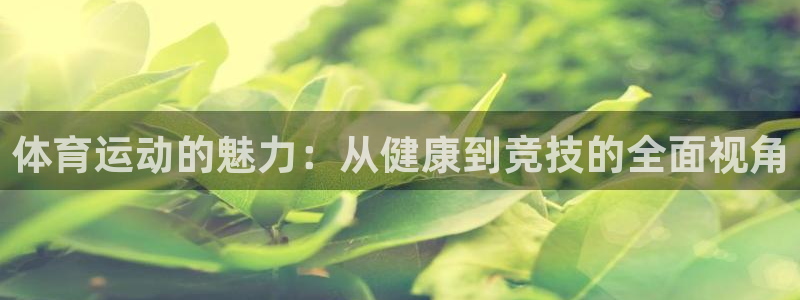 雷速足球