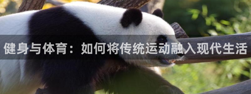 雷速音豹赛车怎么画